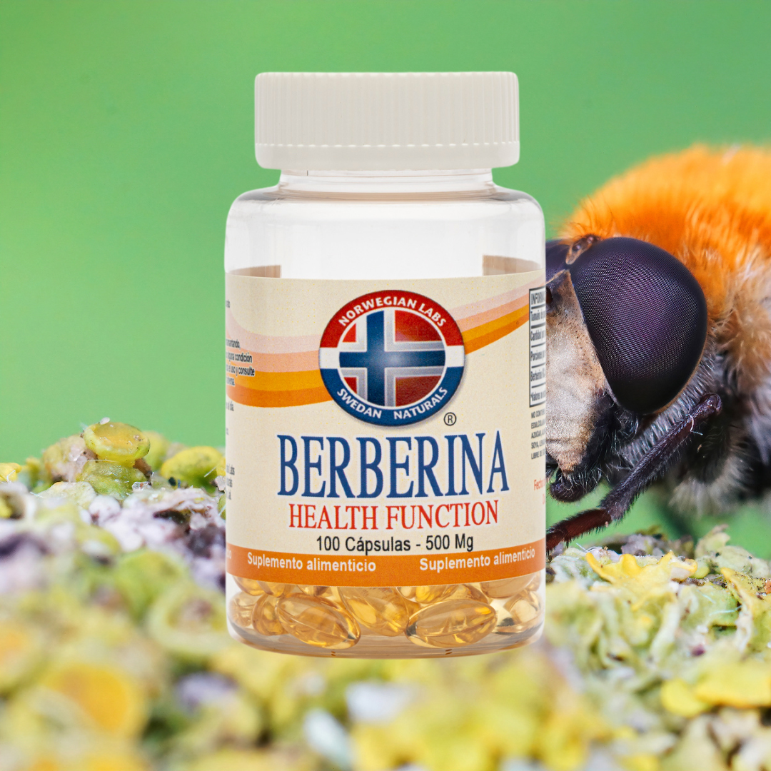 Berberina