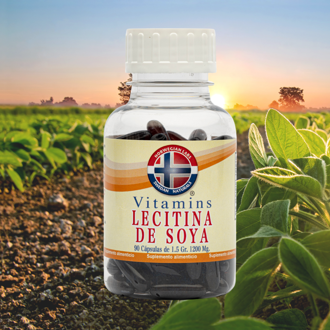 Lecitina de Soya